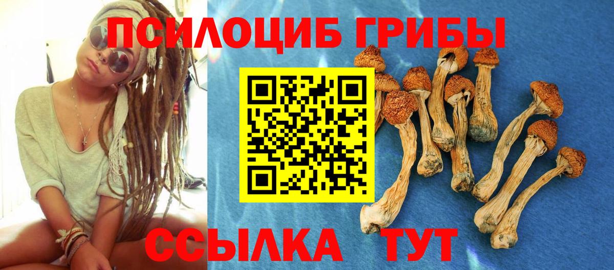 Светлоград  Псилоцибиновые грибы Cubensis  Вход с VPN  Галлюциногенные грибы Magic Shrooms 